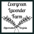 Evergreen Lavender Farm