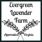 Evergreen Lavender Farm