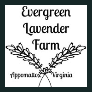 Evergreen Lavender Farm